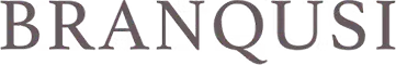 Branqusi logo